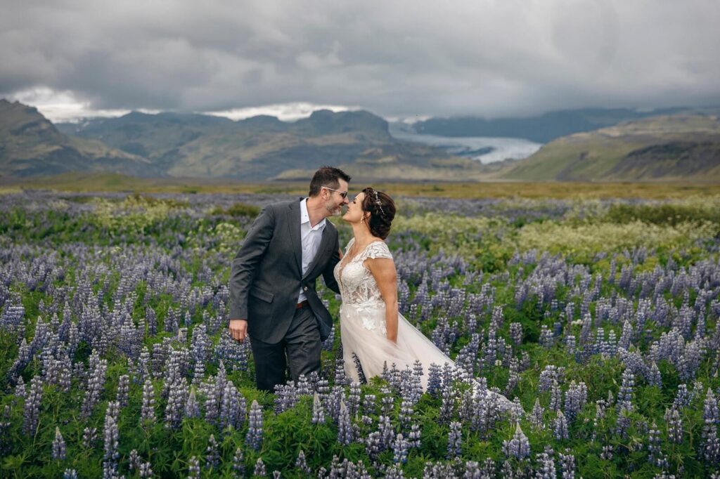 Couple kissing in the fields of purple bloomed flowers in Iceland, background is filled with mountains views in a moody dark bright colors